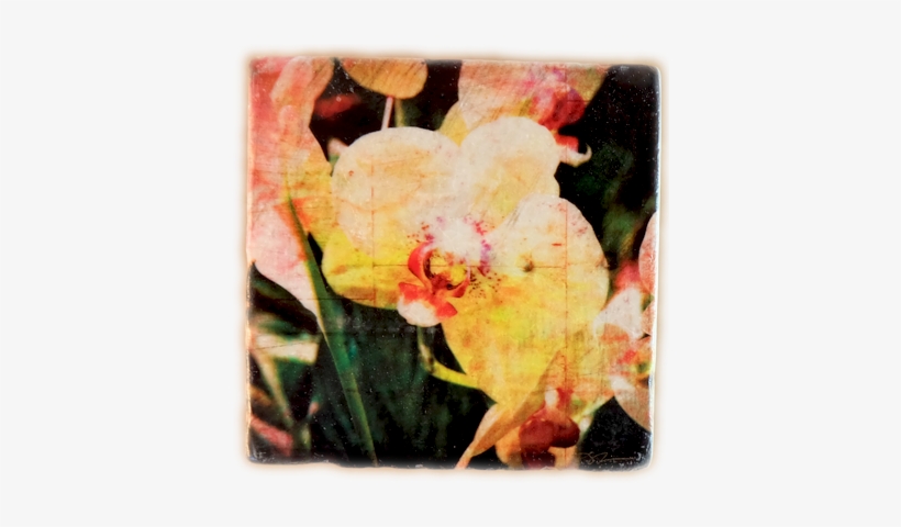 Rustic And Contemporary At The Same Time The Unique - Canna Lily, transparent png #696067