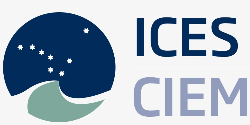 Ices Logo Acronym Format - Ices Ciem Logo, transparent png #696068