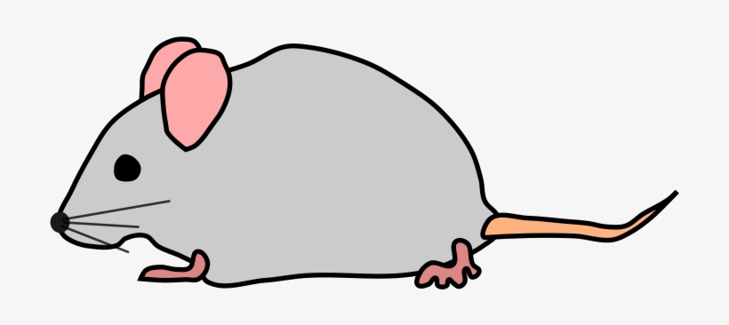 Mouse - Nano Tag, transparent png #696165