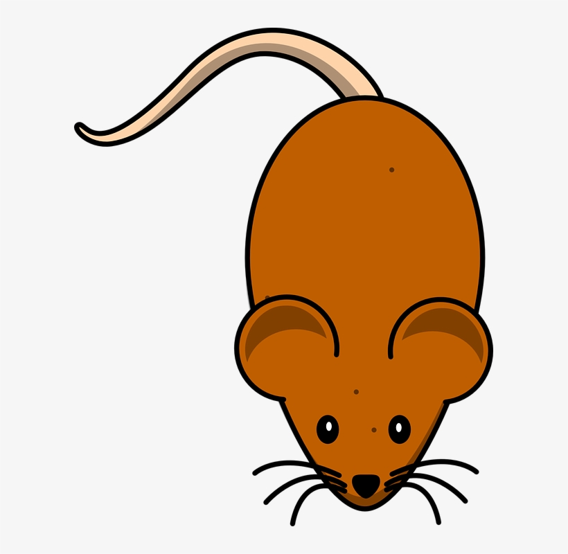 Mice Mouse Brown Clipart Mouse Pet Mouse - Cartoon Mouse, transparent png #696467