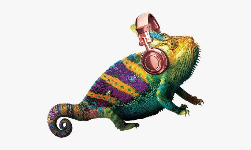 We Build Brand From The Inside Out - Yellow, transparent png #696654