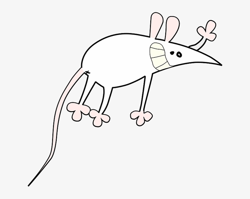 Mouse, Small, Outline, Symbol, Cartoon, Rat, Animal - Mouse Cartoon, transparent png #696699