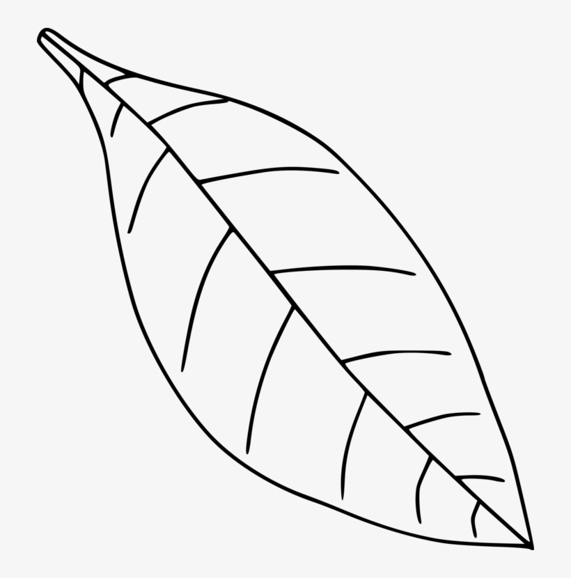Jpg Freeuse Library Autumn Leaf Color Black And White - Leaf Drawing Transparent, transparent png #696912