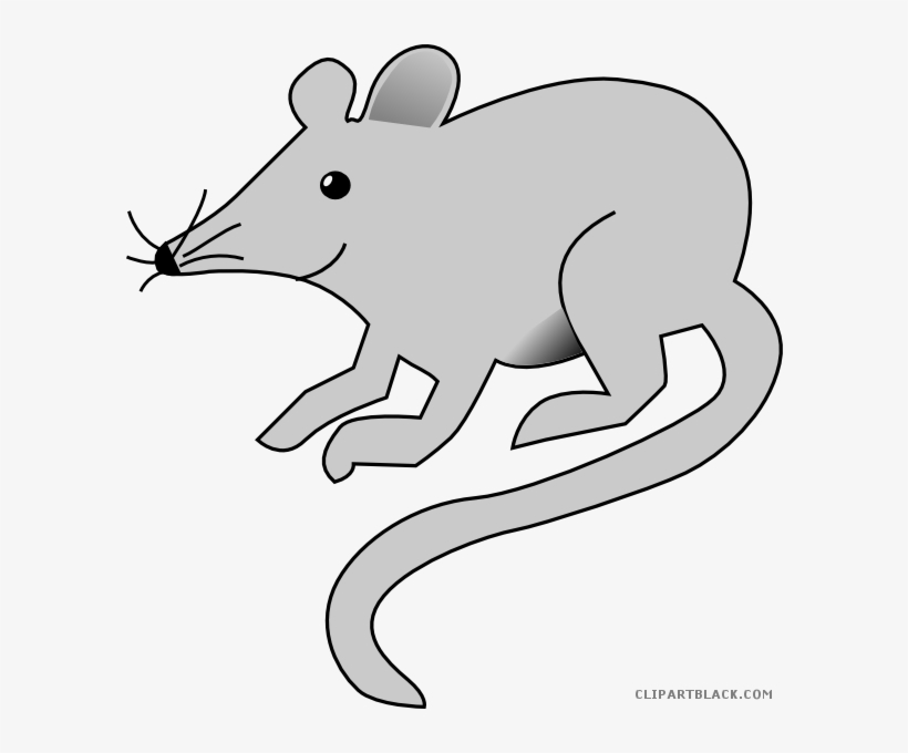 Gray Clipartblack Com Free Black White Images - Rat Clip Art, transparent png #696989