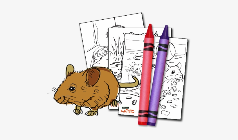 Download Activity Kit - Rat, transparent png #697276