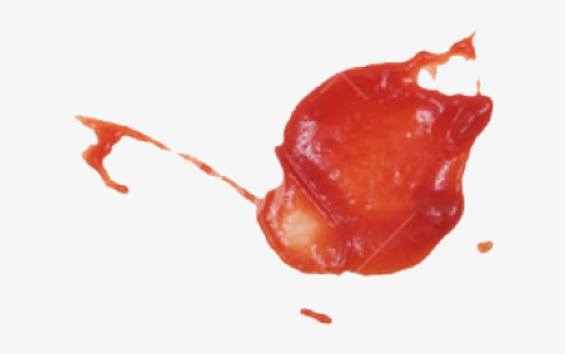 Watercolor Paint, transparent png #698068