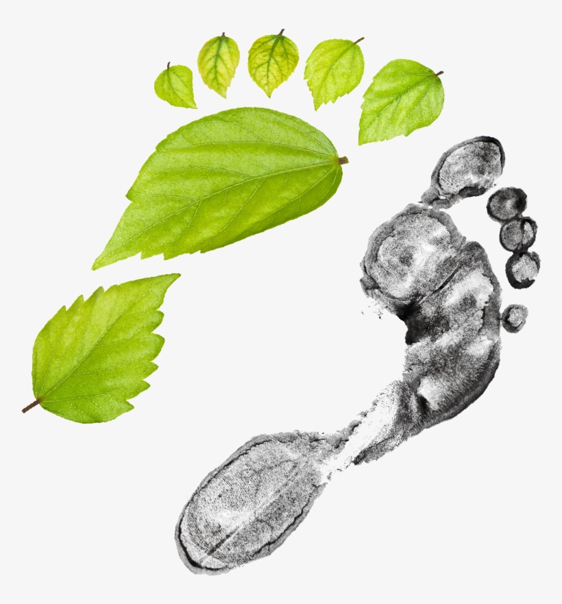 Grid Vs Green - Illustration, transparent png #698651