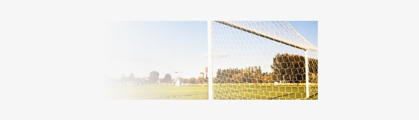 Soccer Netting - Tree, transparent png #698816