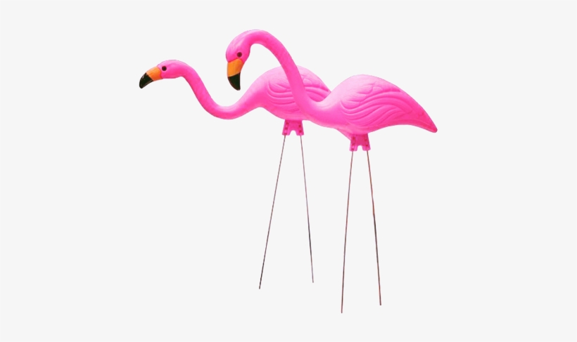 Plastic Flamingo Png - 26 In. Pink Flamingo (2-pack), transparent png #699570