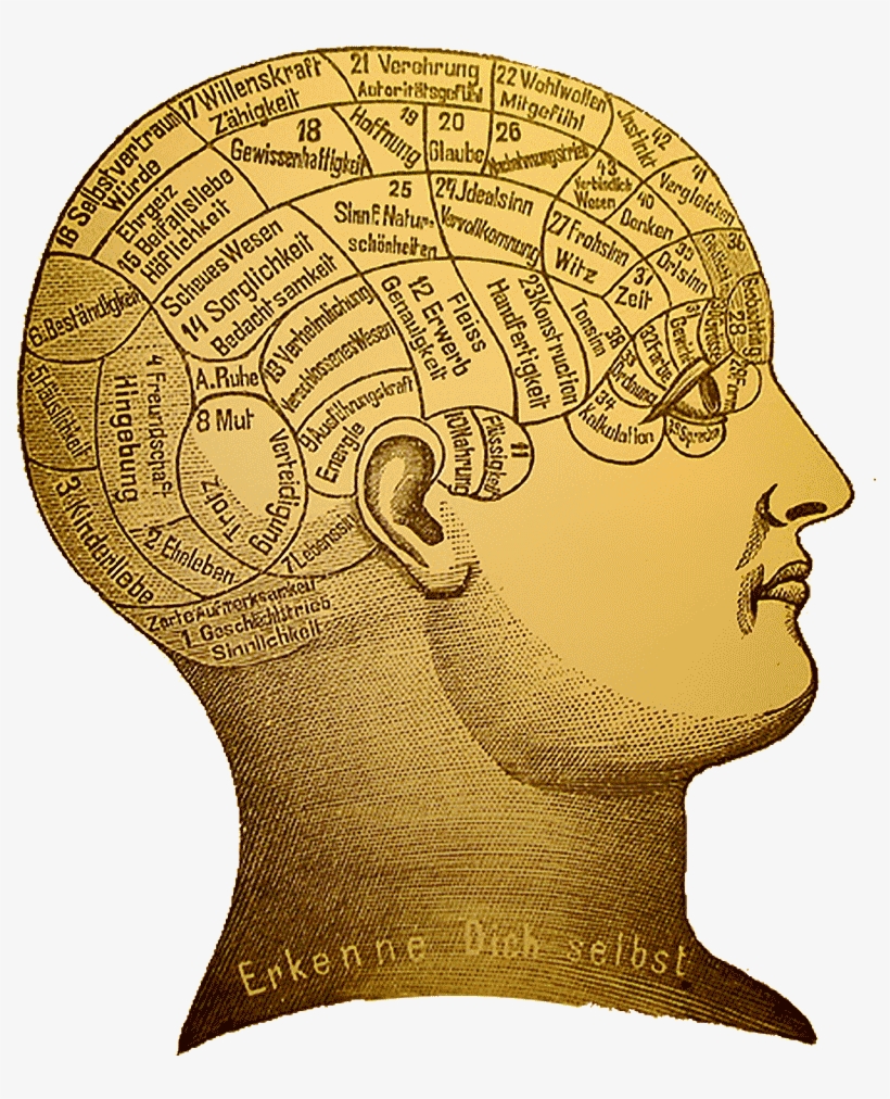 Phrenology - Analysis Of The Phenomena Of The Human Mind, transparent png #699647
