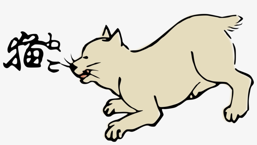 A House For Hermit Crab Cat Computer Icons Drawing, transparent png #6900105
