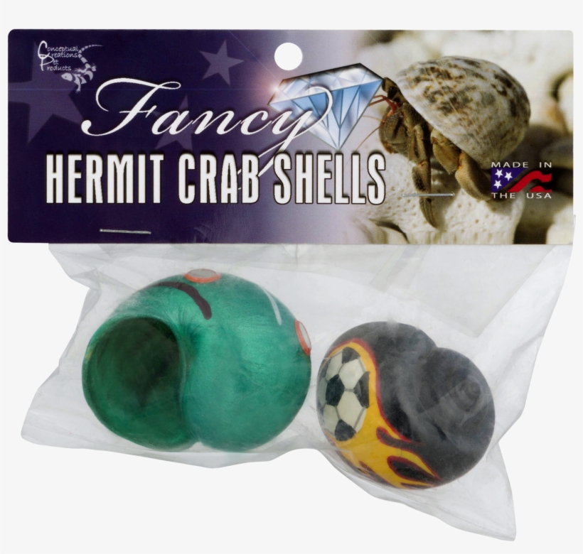 Conceptual Creations Pet Products Fancy Hermit Crab, transparent png #6900246