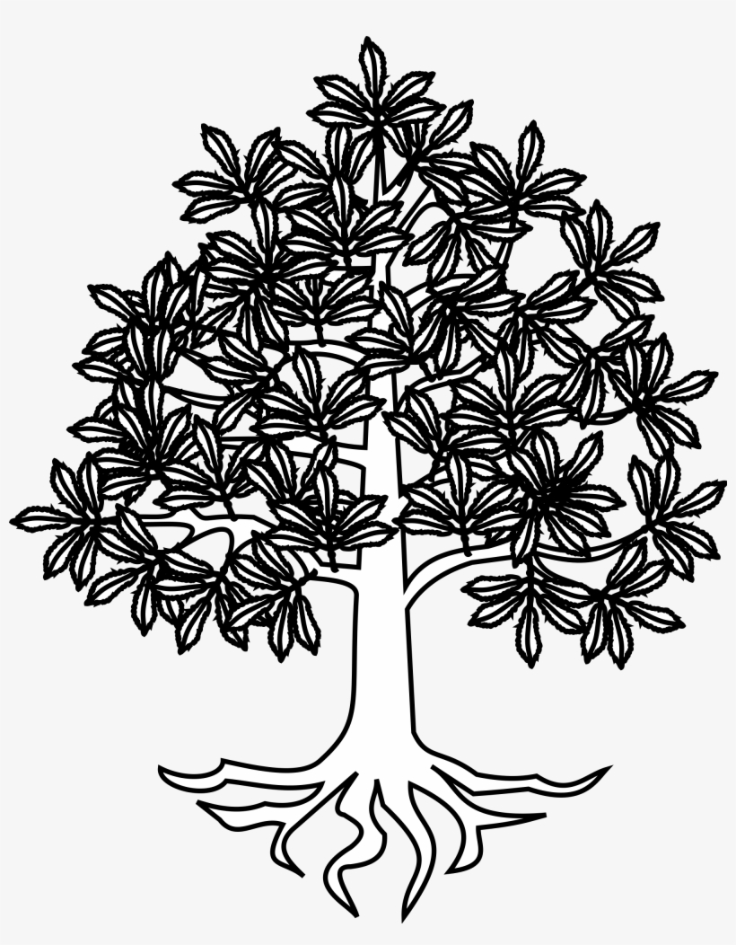 Tree Roots Vector Png, transparent png #6901462