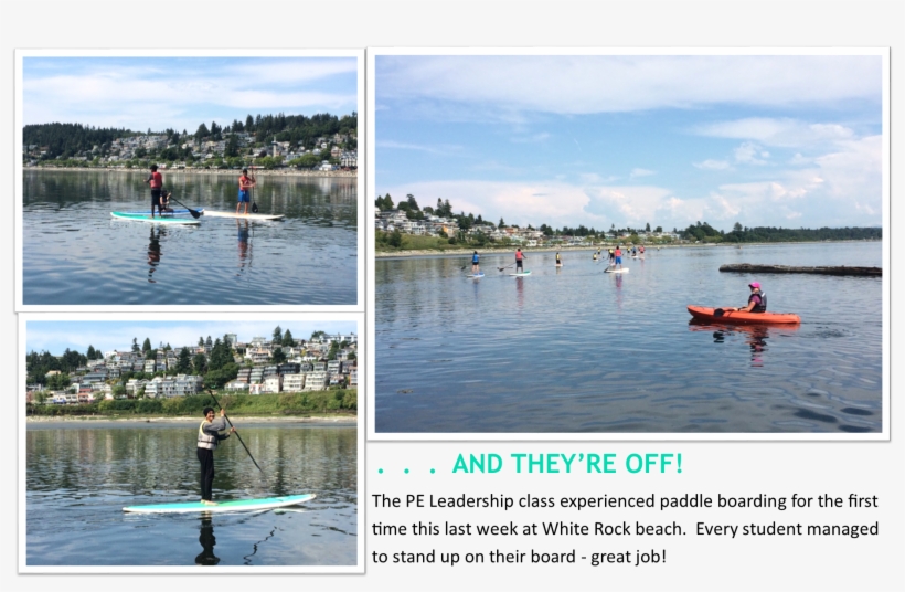 Paddle Boarding, transparent png #6902770