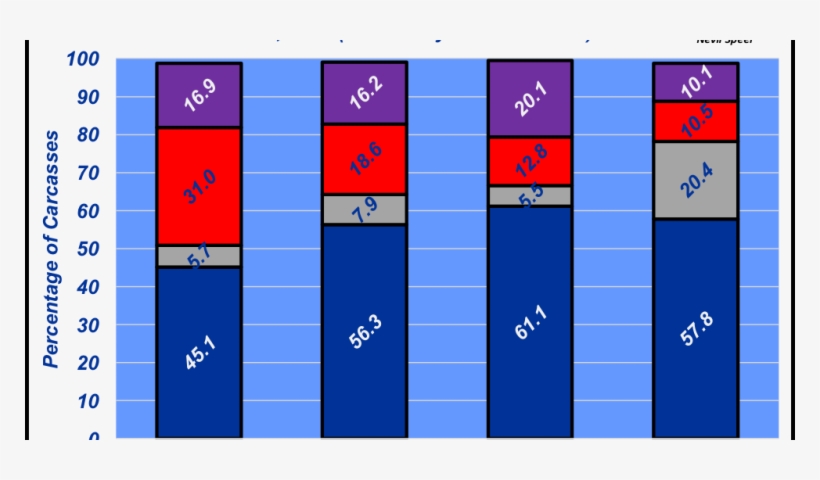 September 2017 Holstein Cattle Growing In Beef Business, transparent png #6903092