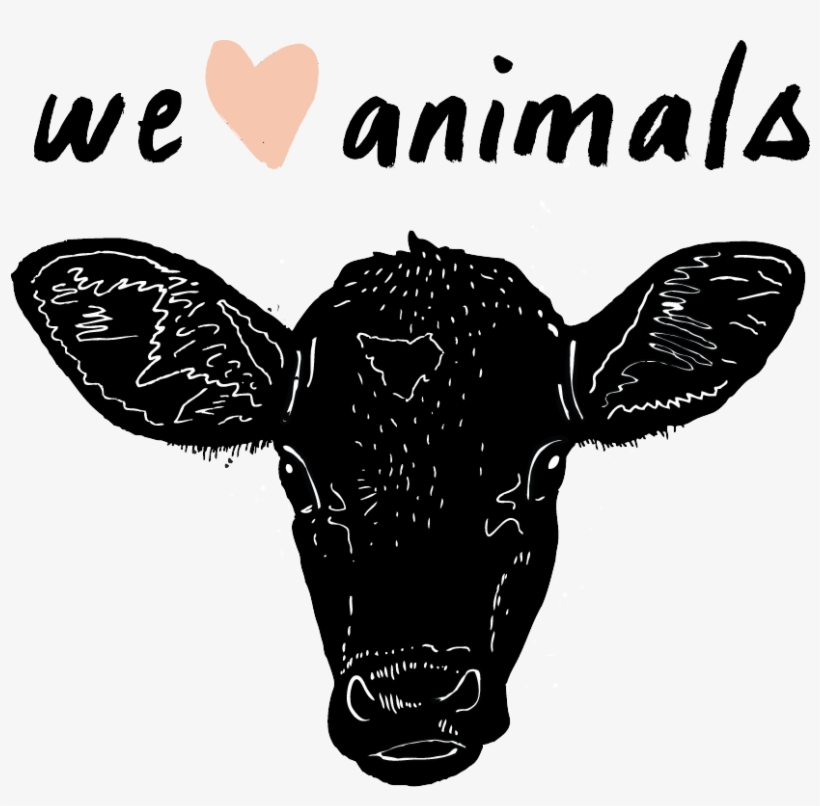 Cattle, transparent png #6903187