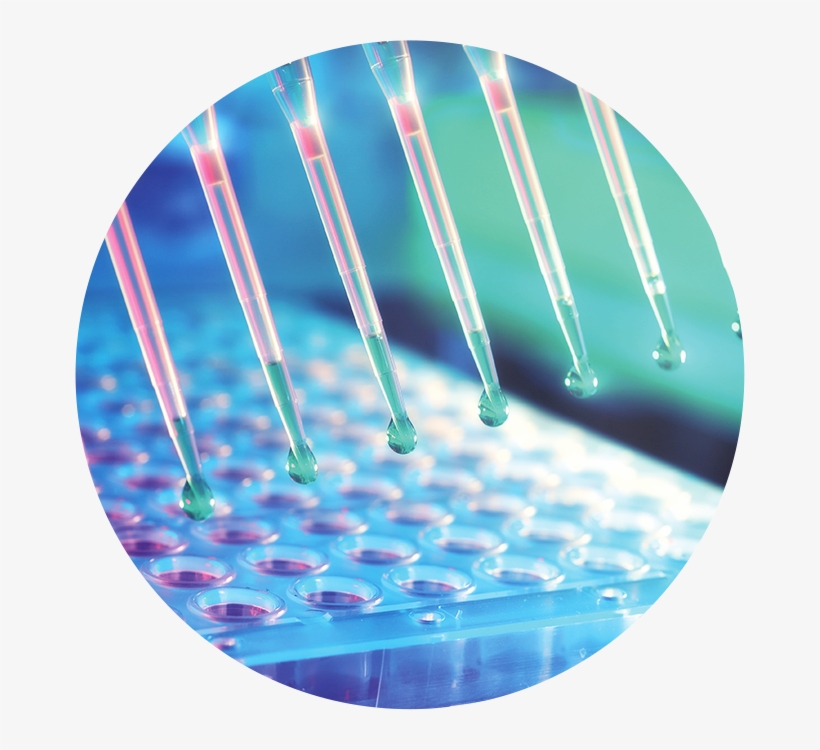 Inspiring The Sector To Action And Engaging With Partners, transparent png #6905233