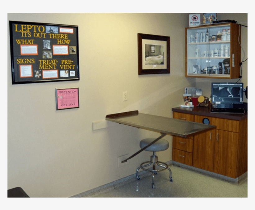 Check Up Room, transparent png #6907260