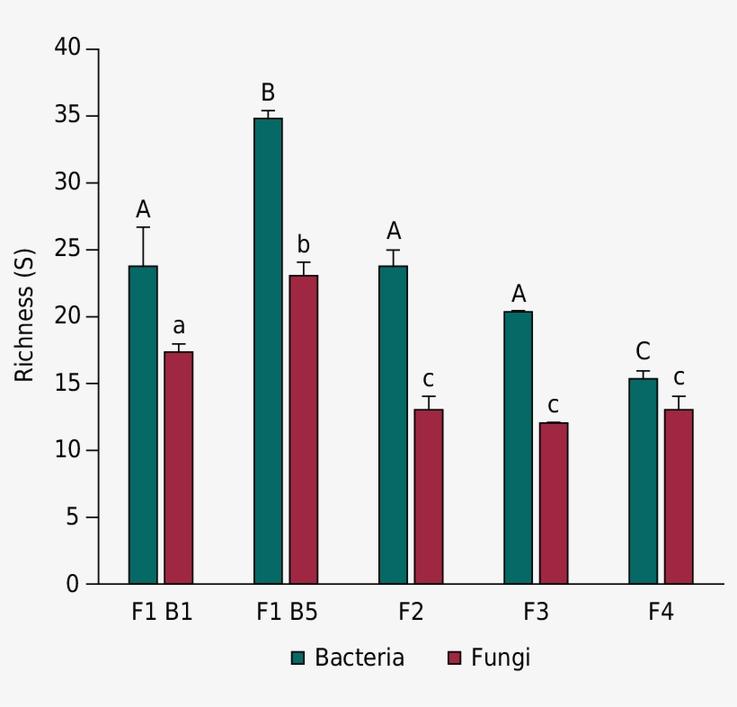 Diversity Of Fungal And Bacterial Communities As Evaluated, transparent png #6907306