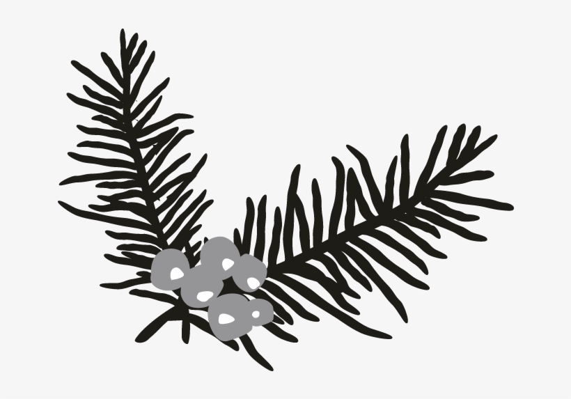 Holly Branch Motif, transparent png #6907617