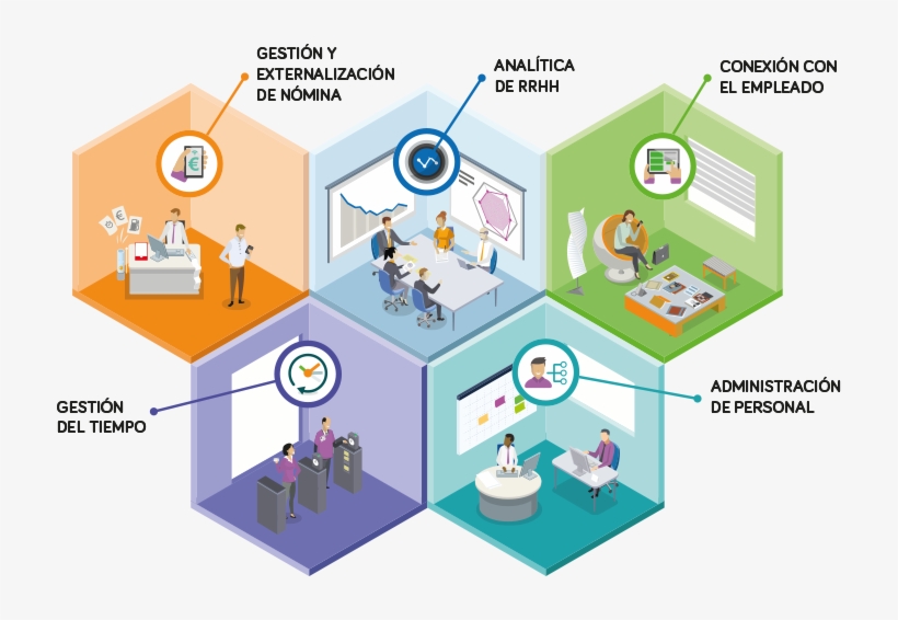 Ayudamos A Gestionar Todas Las Áreas Clave De La Gestión, transparent png #6907895