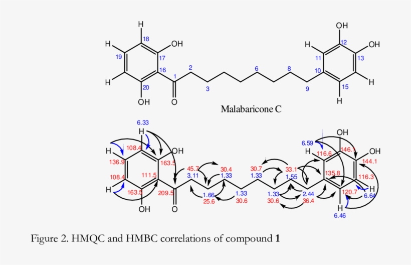 Proton Pattern Of The 1st And 2nd Aromatic Ring Of, transparent png #6910213