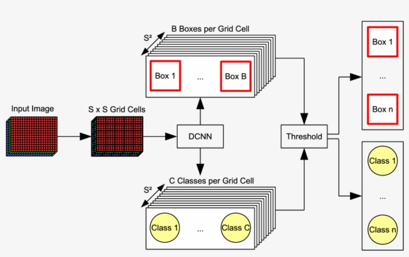 The Yolo Detection Architecture, transparent png #6910871