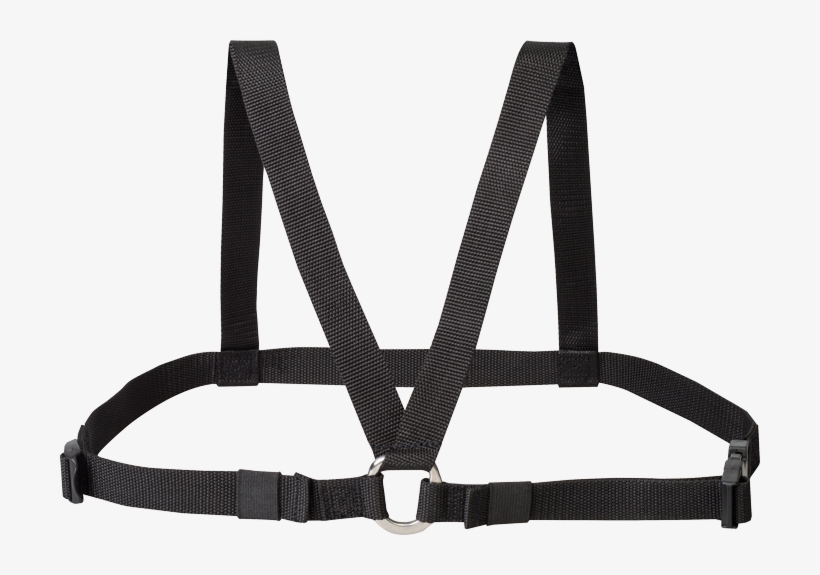 Chest Harness - > - Free Transparent PNG Download - PNGkey