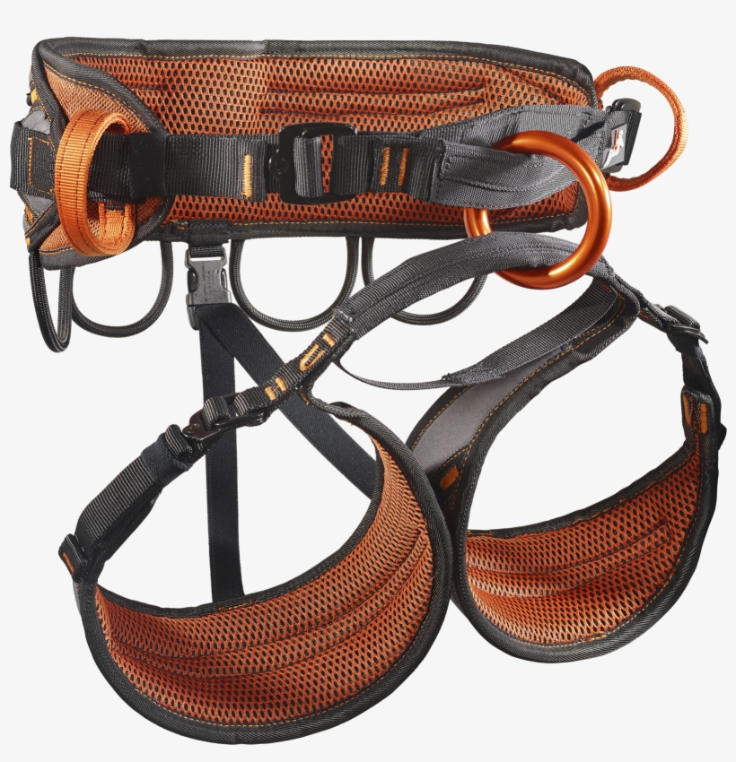 The Record Is The Only Harness With All Approvals In, transparent png #6912329