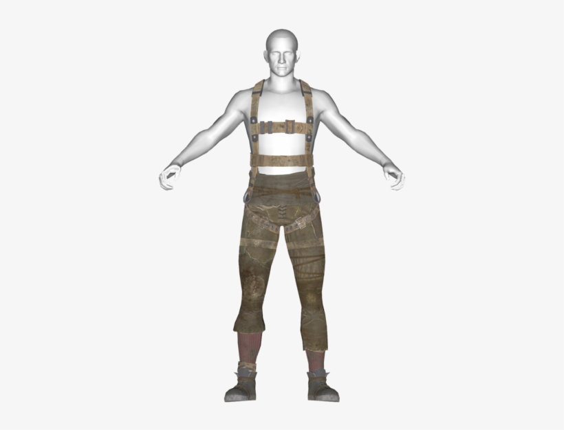 Harness, transparent png #6913295