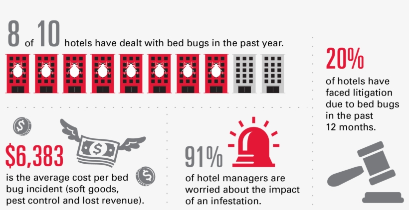 When Protecting Your Hotel From Bed Bugs, It's Important, transparent png #6914082