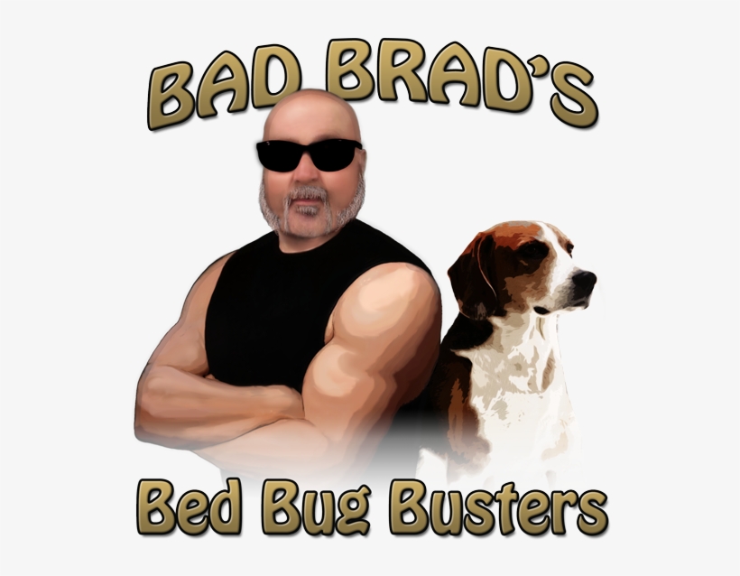 Bad Brad's Bed Bug Busters, transparent png #6914505