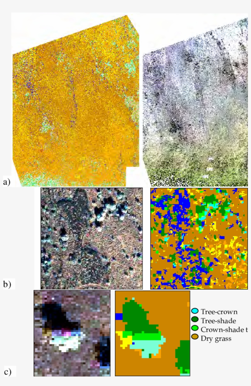 A Dry Forest Ecosystem From The North Kona Region In, transparent png #6915006