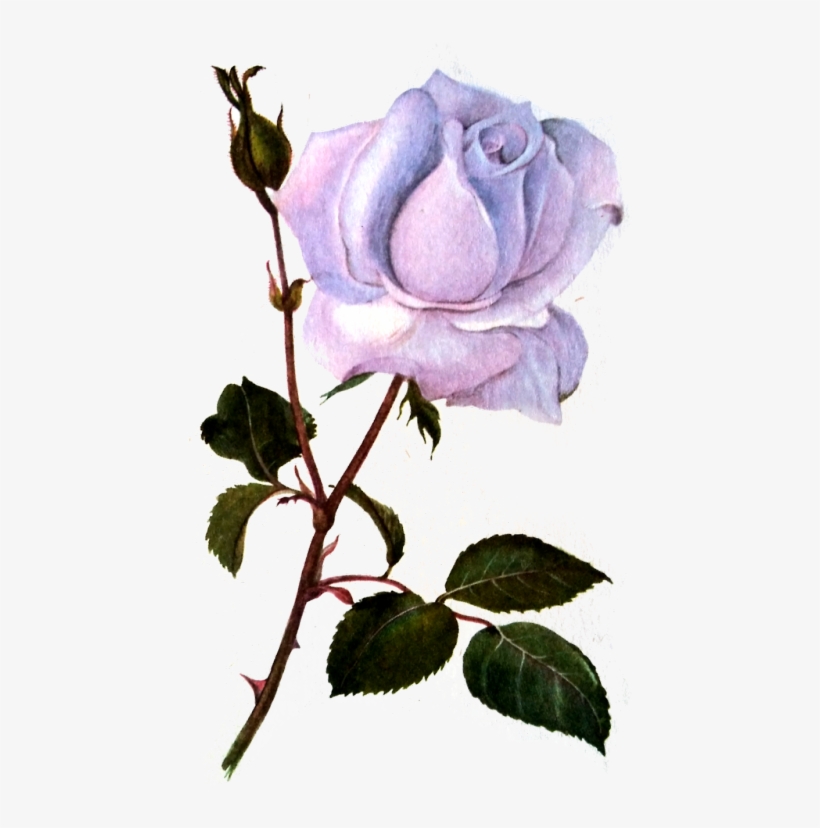 Tumblr Png Collage, transparent png #6919879