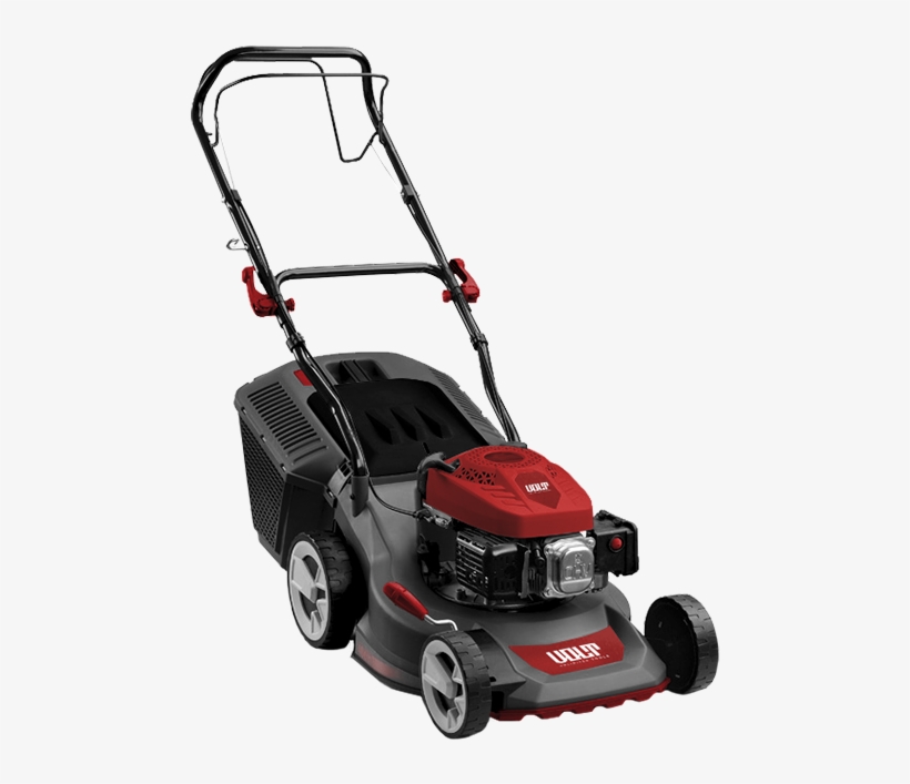 Features, transparent png #6923163