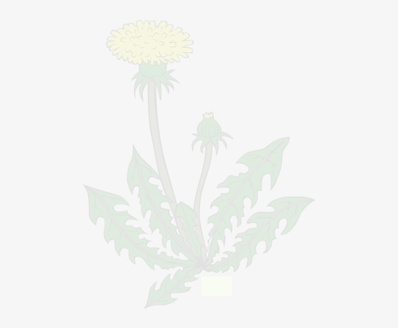 Weed Control Raleigh, transparent png #6923877