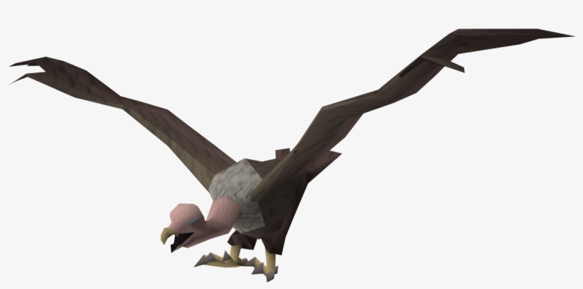 Trivia - Vulture, transparent png #6928547