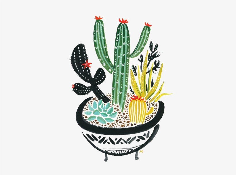 Cactaceae Succulent Plant Painting Painted Cactus Handpainted, transparent png #6929793
