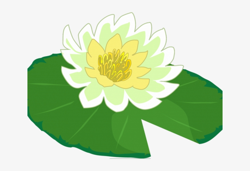 Lily Pad Clipart Water Lily, transparent png #6930372