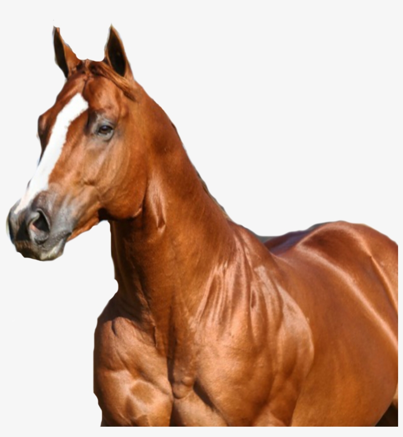Iggy Azalea Png, transparent png #6932786