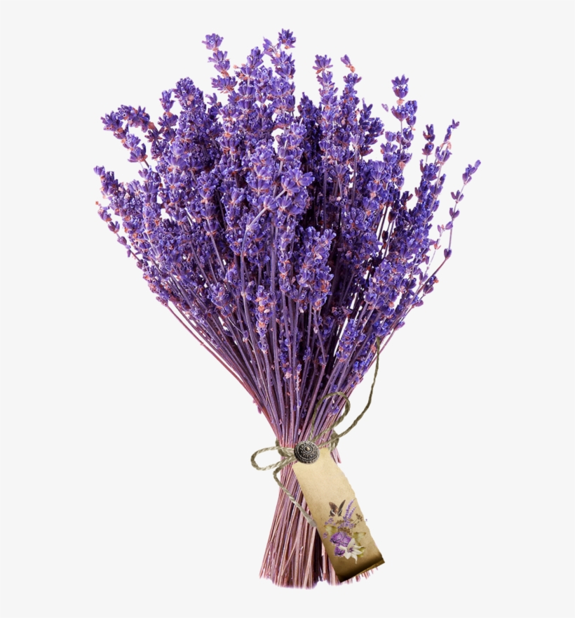 Fleurs, Éclat, Ornement, Flowers, Tubes, Bouquets,, transparent png #6933308