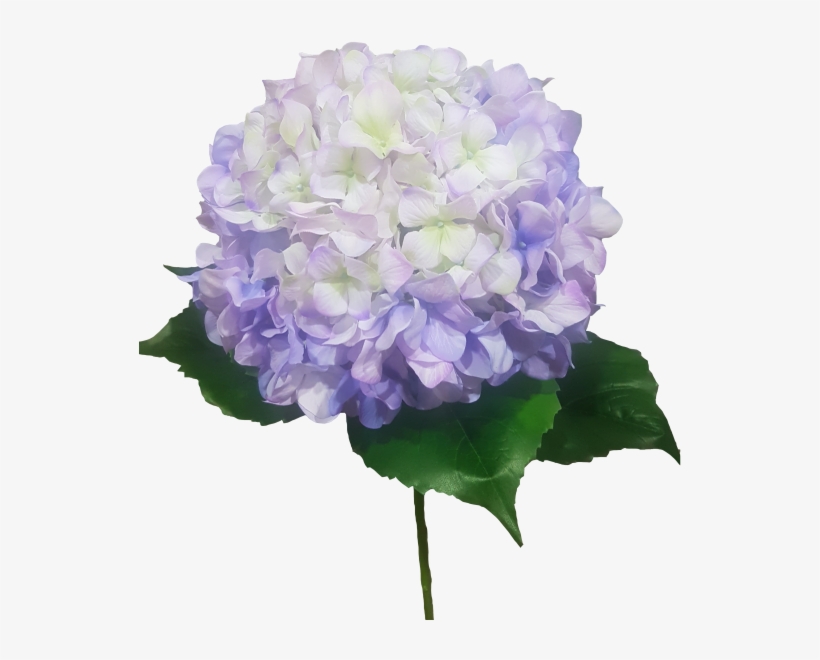 Giant Lavender Hydrangea Silk Wedding Bouquets \u0026, transparent png #6933395