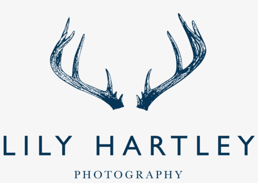 Lily Hartley, transparent png #6934350