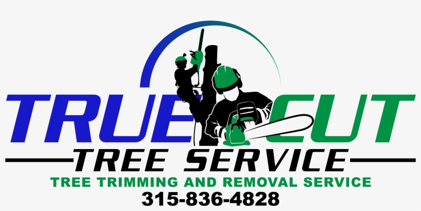 Stump Removal, transparent png #6935254