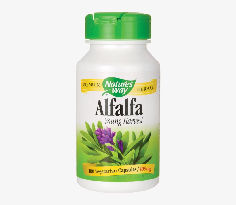 Alfalfa V=1497802868, transparent png #6935342