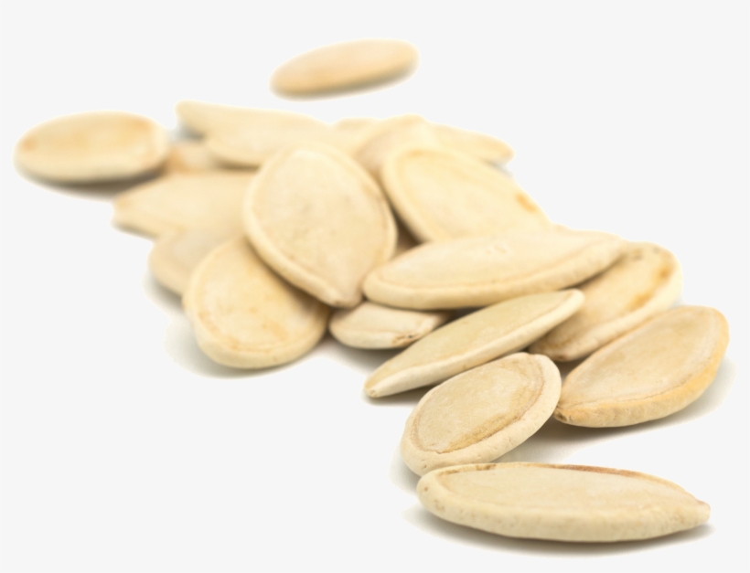 Pumpkin Seeds Png Clipart, transparent png #6935872