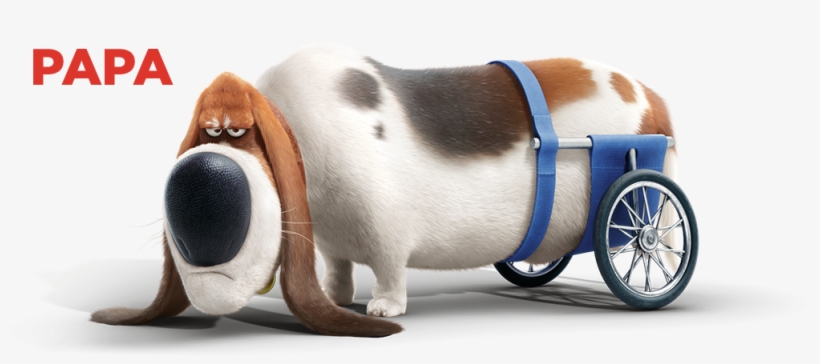 Pops / Papa A Legöregebb És Legbölcsebb Kutya Mind, transparent png #6936462