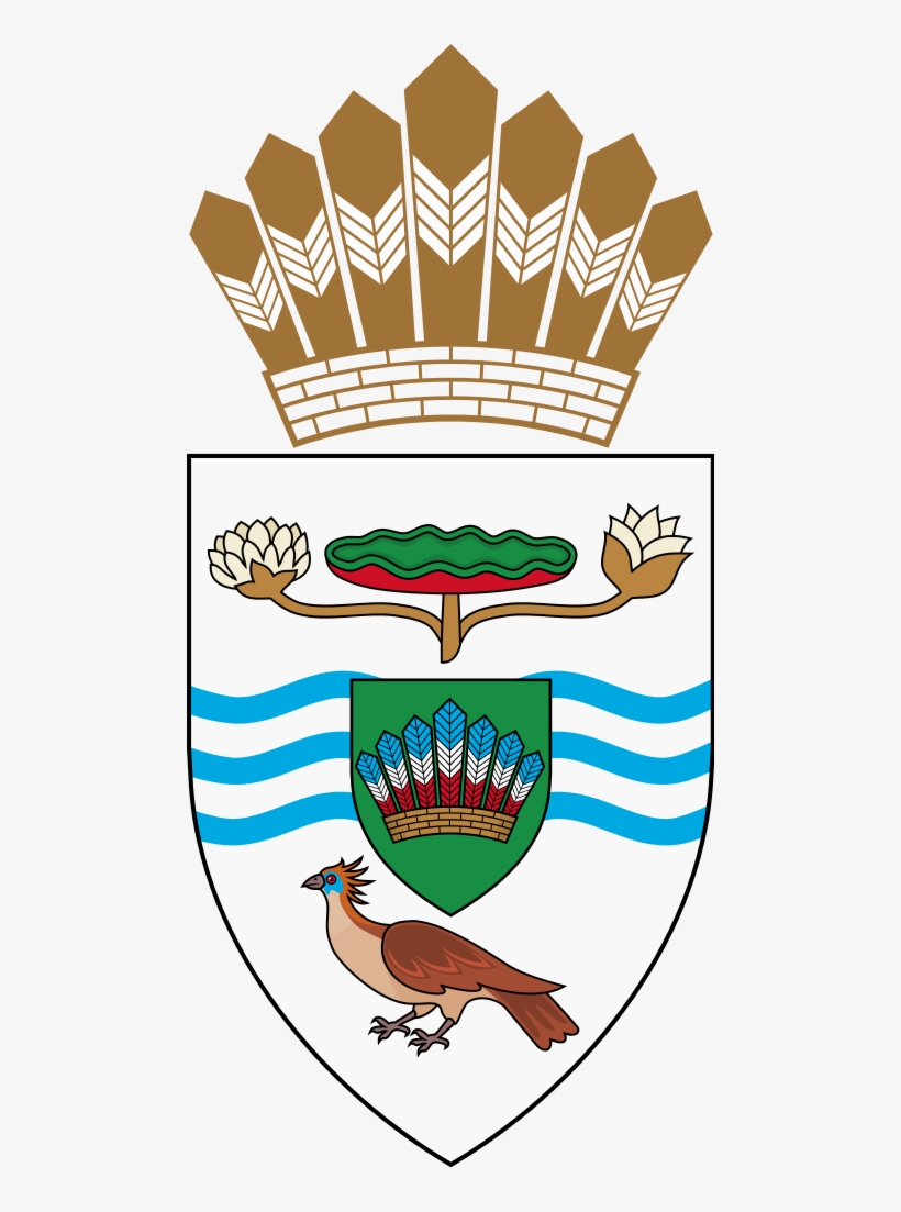 Arms Of The President Of Guyana, transparent png #6936727