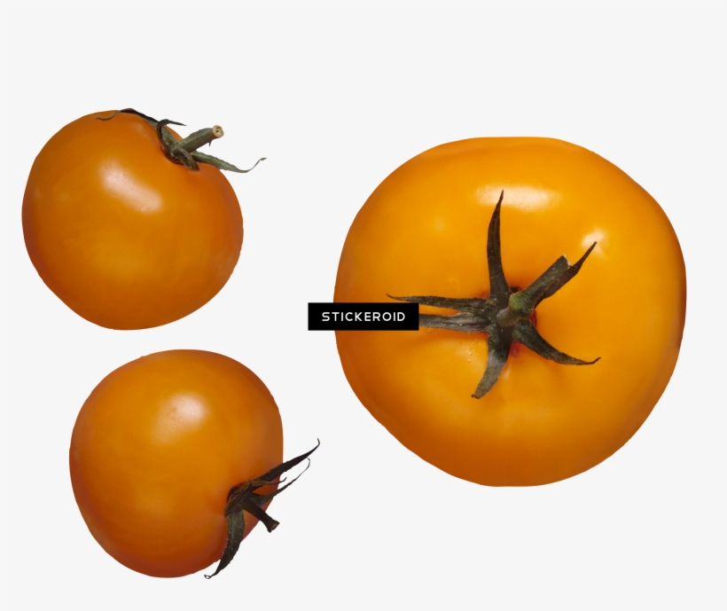 Tomato, transparent png #6937561
