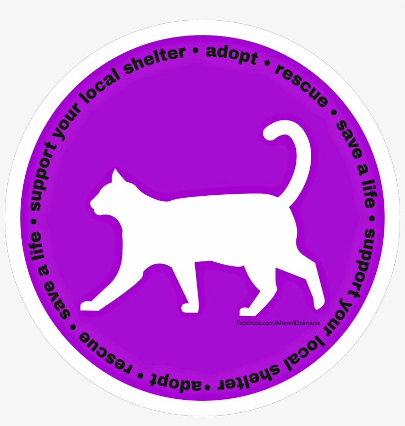 Text Around The Circle Reads "support Your Local Shelter, transparent png #6938341